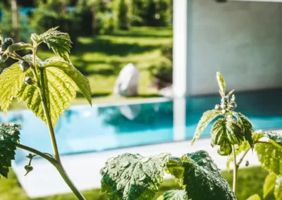 Angebote Saalbach, Kurzurlaub im Haus Jausern genießen. Beheizter Aussenpool, kristallklarer Naturbadeteich und Erlebnisse in der Region. Genießen und Erleben im Hotel Haus Jausern in Saalbach