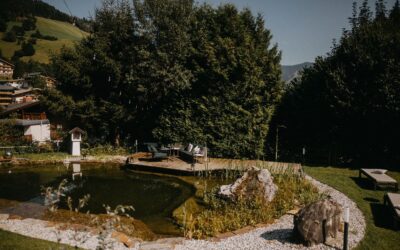 Kostenlos reisen mit den Öffis – Guest Mobility Ticket