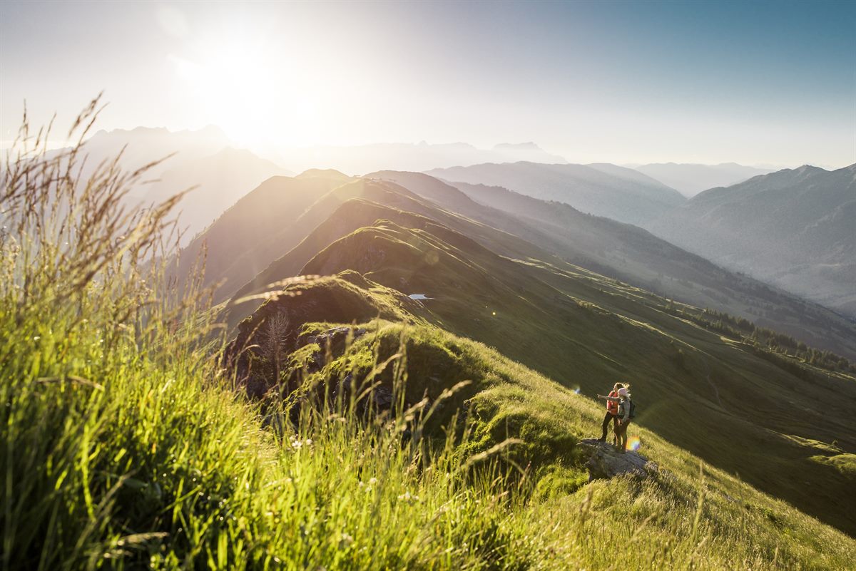 Wandern in Saalbach, Bergsommer, Urlaub in den Bergen, Grüne Rate