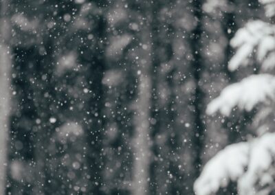 Winterwunderland am Berg und im Tal. Pulverschnee und Winterfeeling in Saalbach im Haus Jausern. Hotel