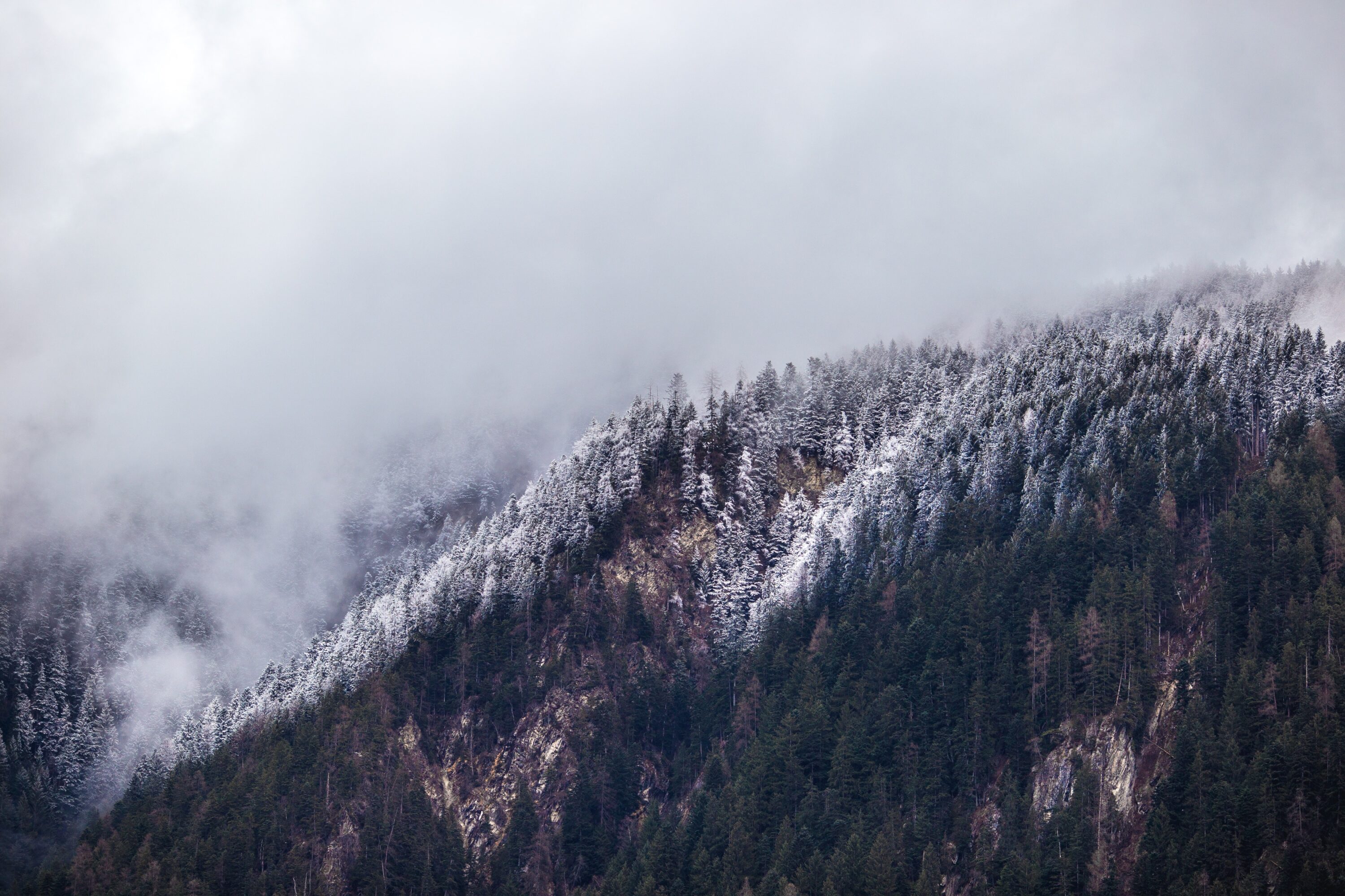 linas-bam-q1X6ADPZl4w-unsplash